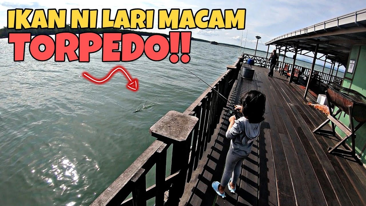 RAKIT SELESA SIAP ADA ASTRO. MEMANCING RAKIT DI JOHOR - Rakit Dza #95