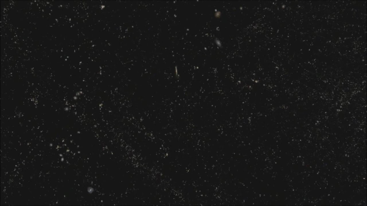 A Flight Through the (known) Universe, by the Sloan Digital Sky Survey