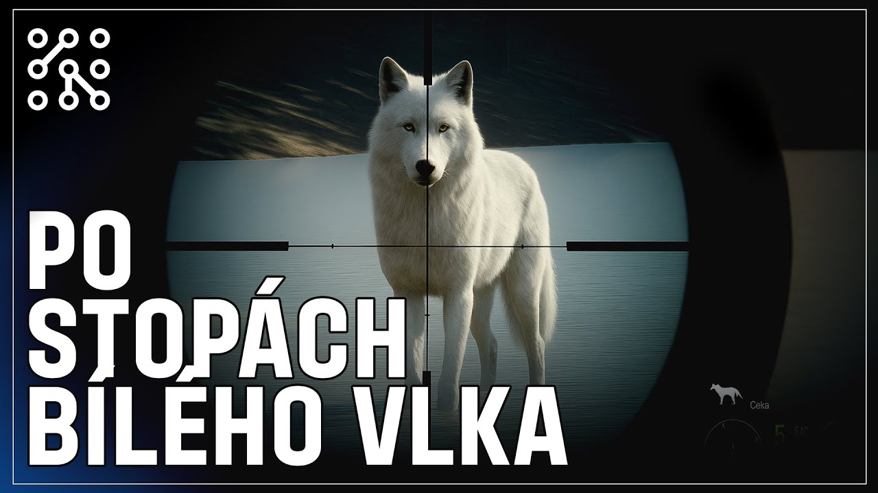 Úkoly na Cuatro | theHunter: Call of the wild CZ |  Česky