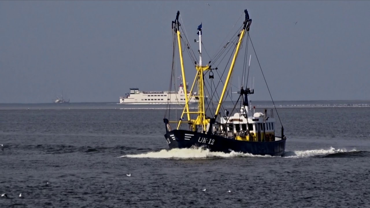Eenrum, Kloosterburen en Lauwersmeer in beeld
