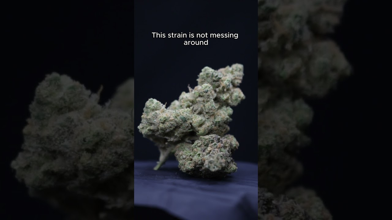 Goofiez : 28%THC