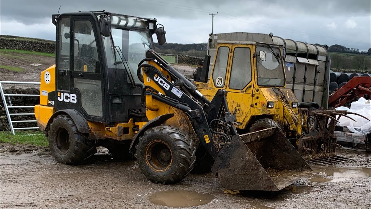 DOUBLE POWER ON MUCKING OUT DUTIES!
