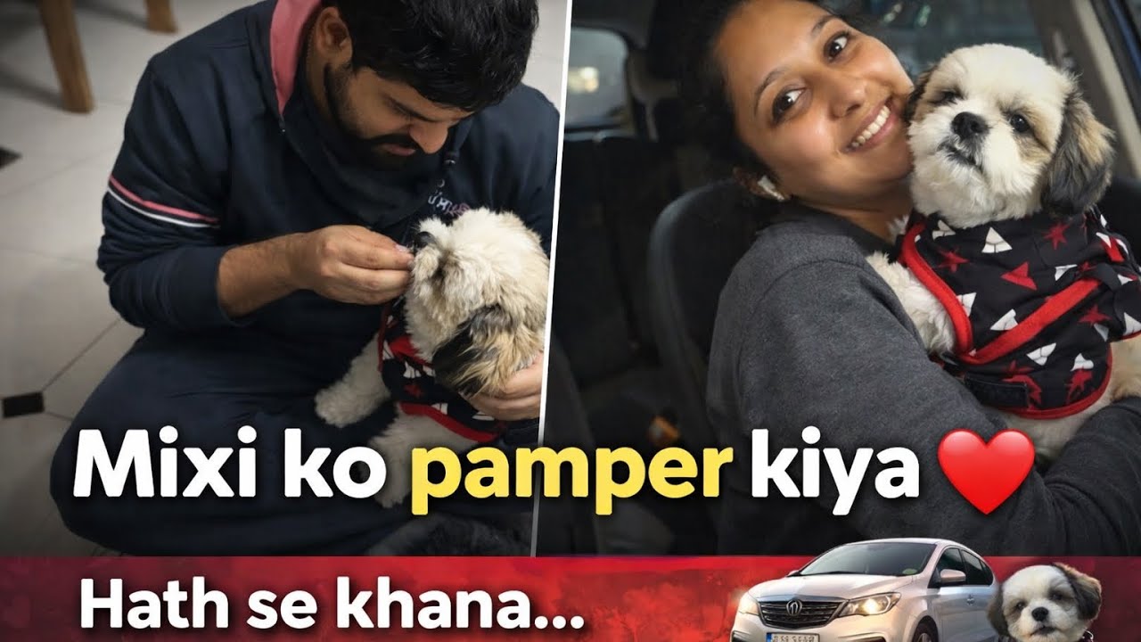 Mixi ka Pampering Day ❤️ | Hath se Khana Khilaya & Evening Drive 🚗🐶