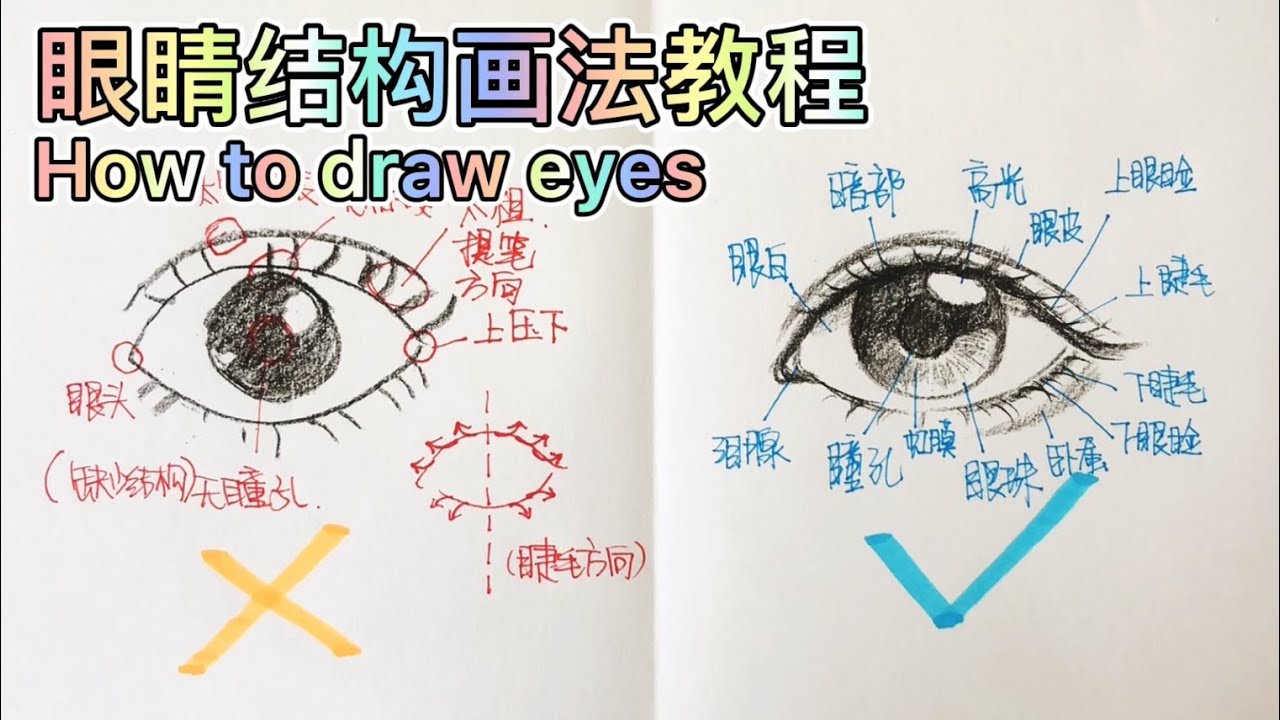 How to draw eyes step by step 手繪人物眼睛結構畫法教程中文講解