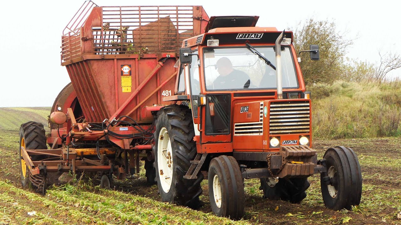 Fiat 980, 70-90 & 85-90 Tractors Harvesting Sugarbeets