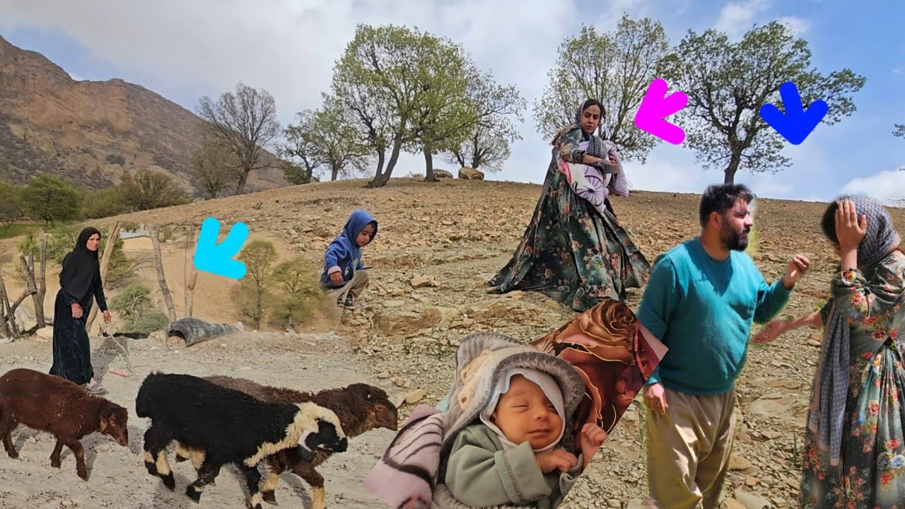 Documentary on nomadic life: 