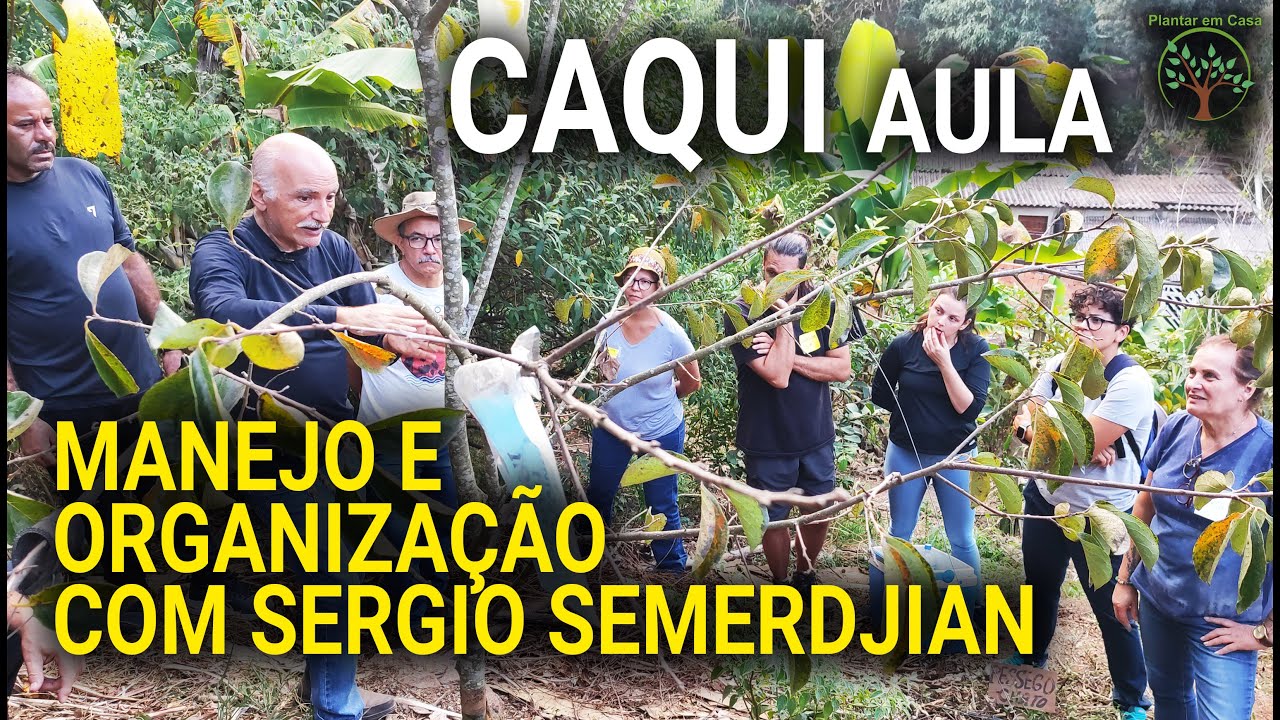 CAQUI Manejo, Poda e Organização em Aula com Sergio Semerdjian 06