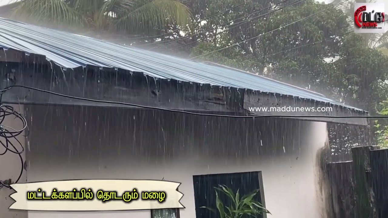 மட்டக்களப்பு மாவட்டத்தில் கொட்டும் மழை -தாழ்நிலங்கள் மூழ்கும் அபாயம்/Batticaloa
