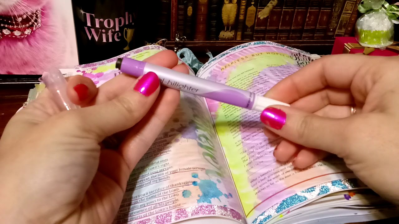 She Reads Truth bible 