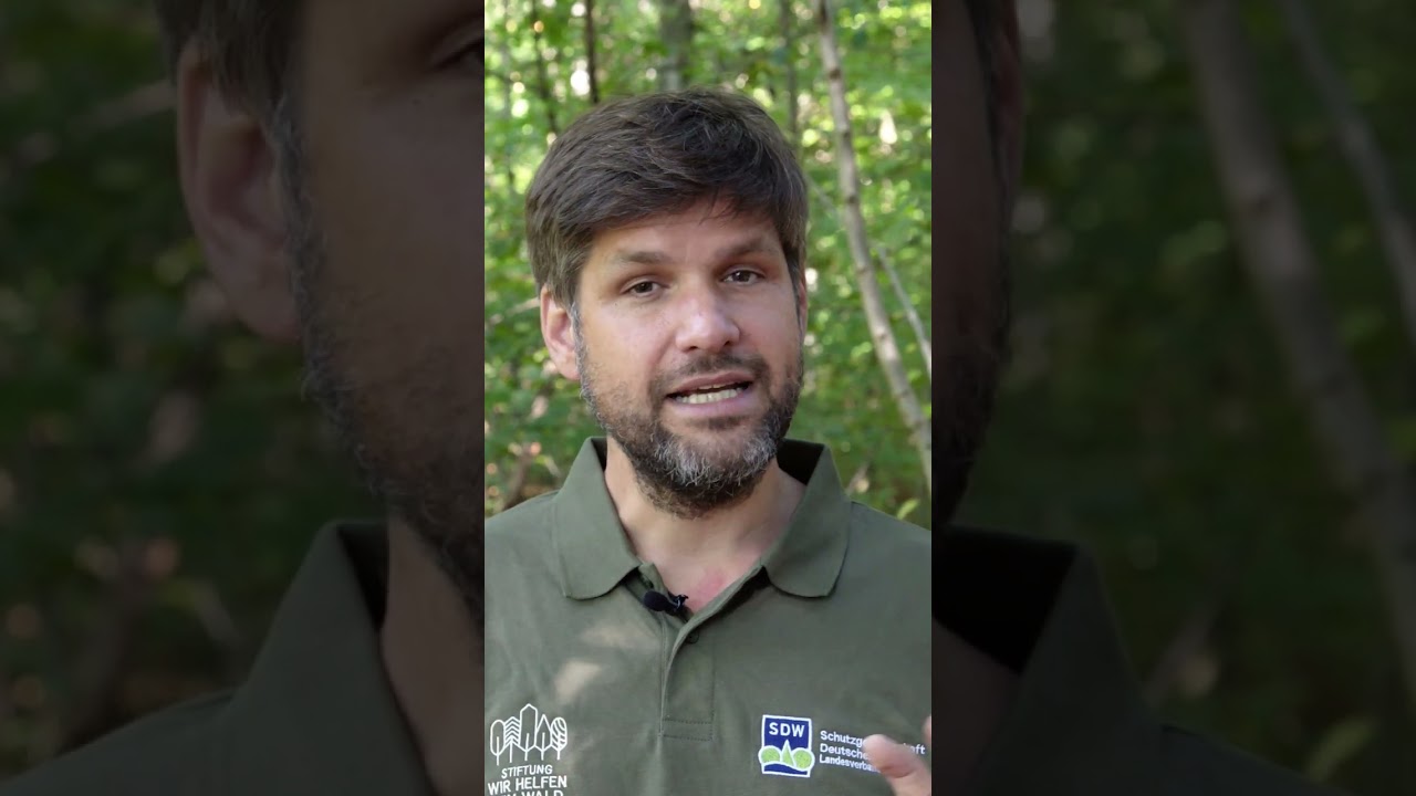 Unterricht im Wald - Ordner | 2 Schulwaldgr&uuml;ndung