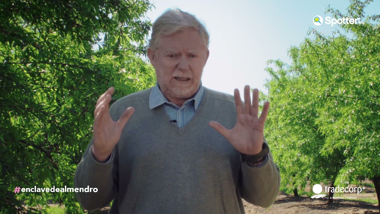 #EnClaveDeAlmendro | ¿Cuales son las necesidades hídricas en el cultivo del almendro?