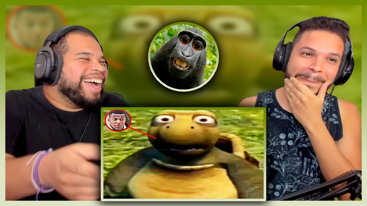 M£mes que estão observando você | Mamaco M£mes