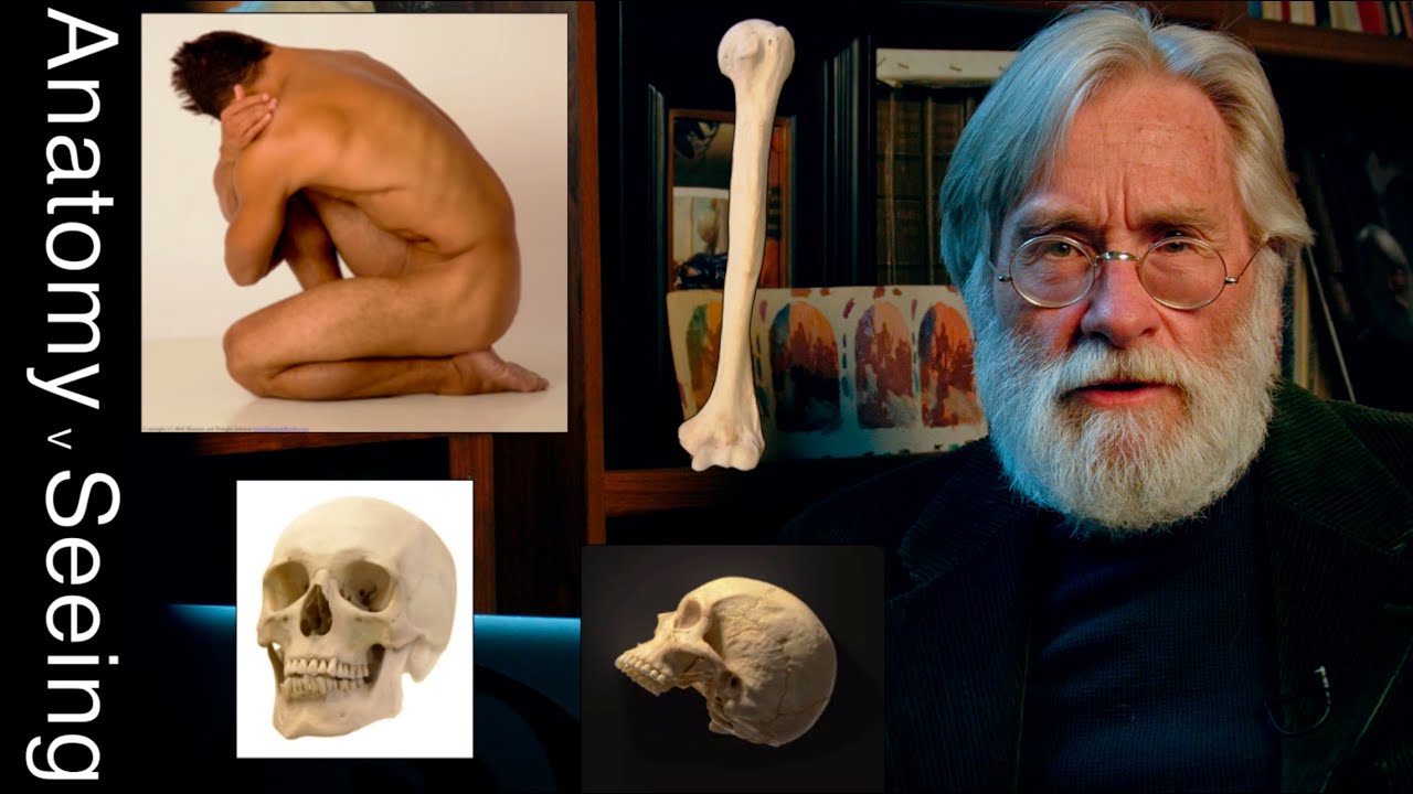 Seeing, Drawing and Anatomy #239