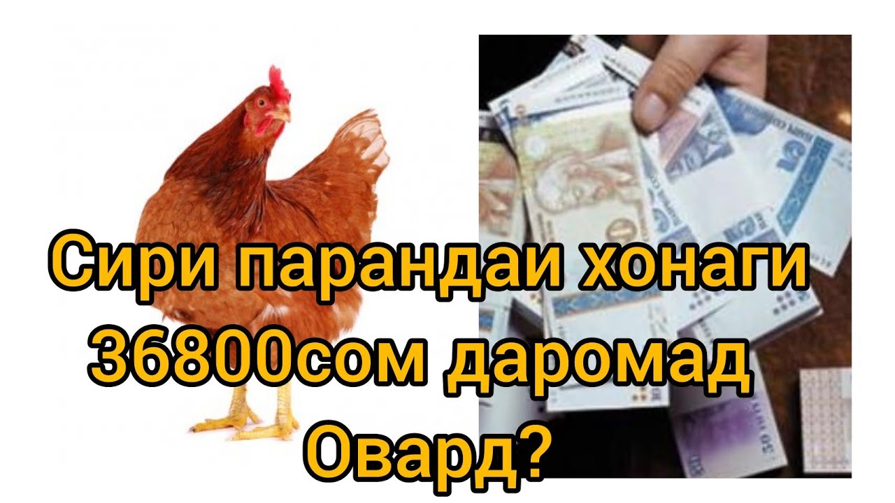 #ФаррухСаломов ПАРАНДАИ ХОНАГИЕ,КИ 368000СОМОНИ ДАРОМАД ОВАРД?