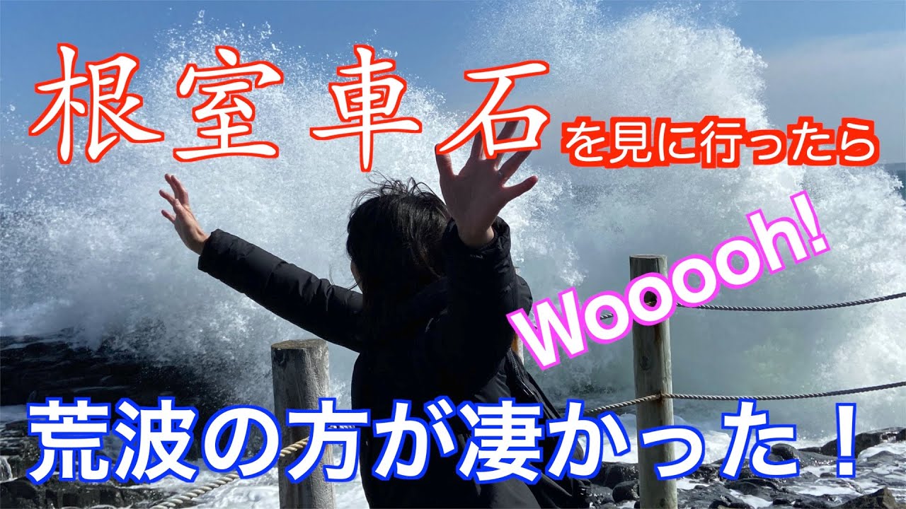 【北海道・根室市】根室車石に行ってみたら荒波の方が凄かった！