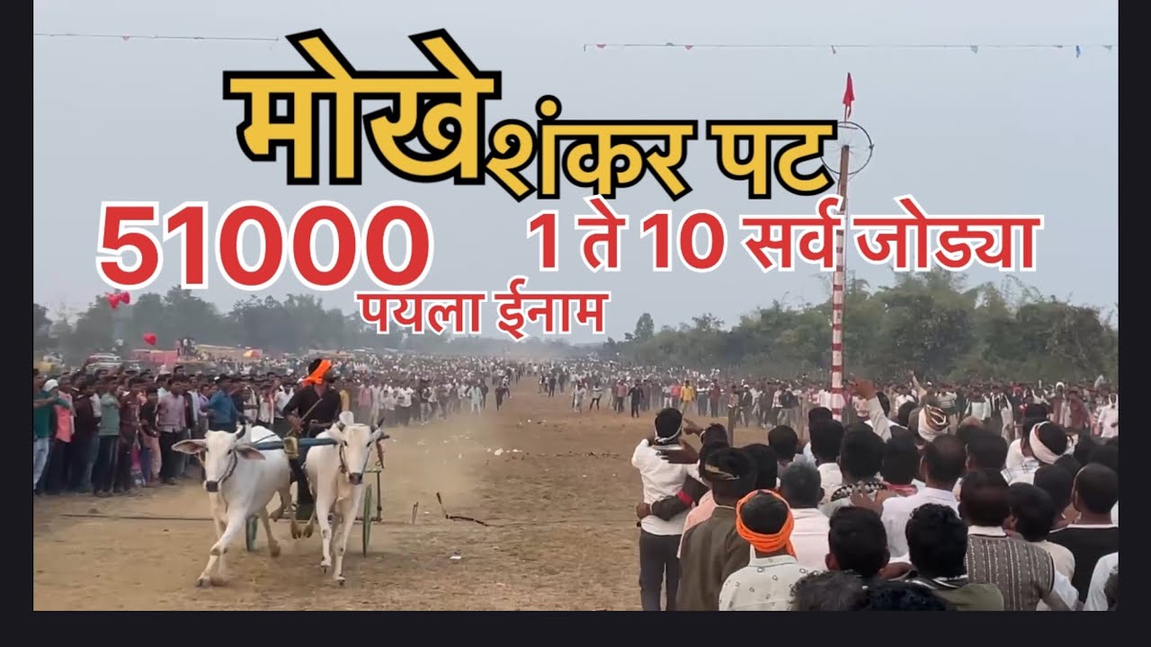 मोखे शंकर पट १ ते १० सर्व टॉप चे सामने (51000 चे मानकर कोण ते पाहा)#bailgadasharyat #bailgada 