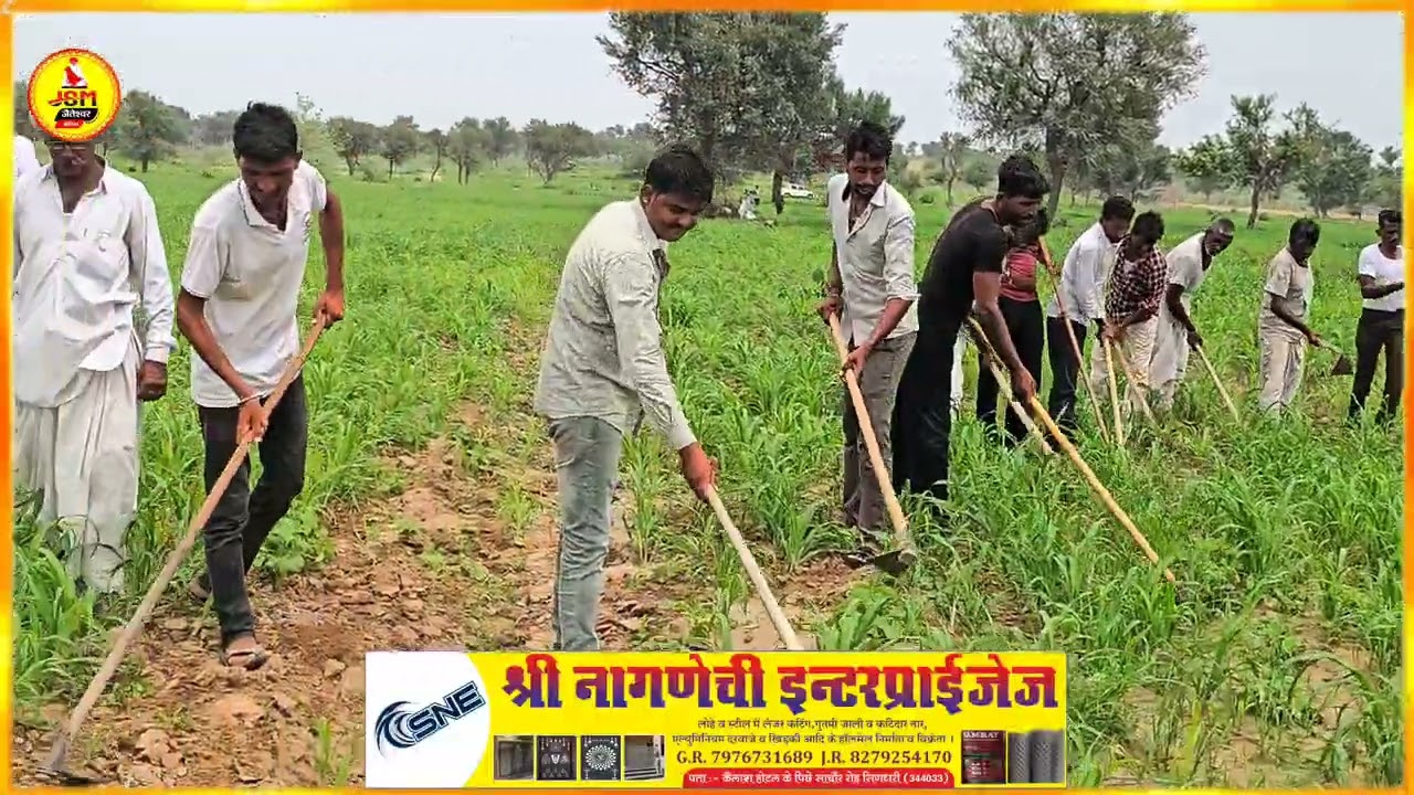 मारवाड़ी भणत भारतीय संस्कृति एकता का संदेश खेतों में काम करते समय गाया जाने वाला गीत......