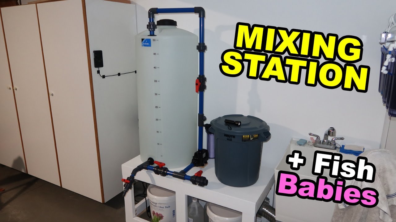 Plumbing mixing station + QT fish have babies!!