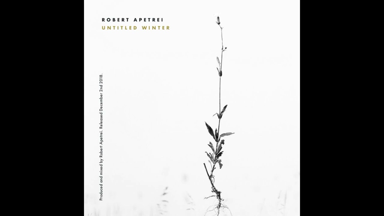 Robert Apetrei - Untitled 0012