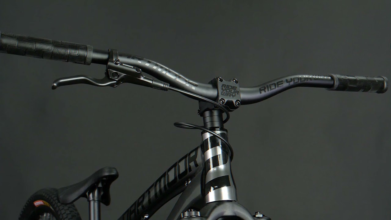 Dartmoor Two6Player EVO 2021 Bike - REAL WEIGHT! Hub Sound