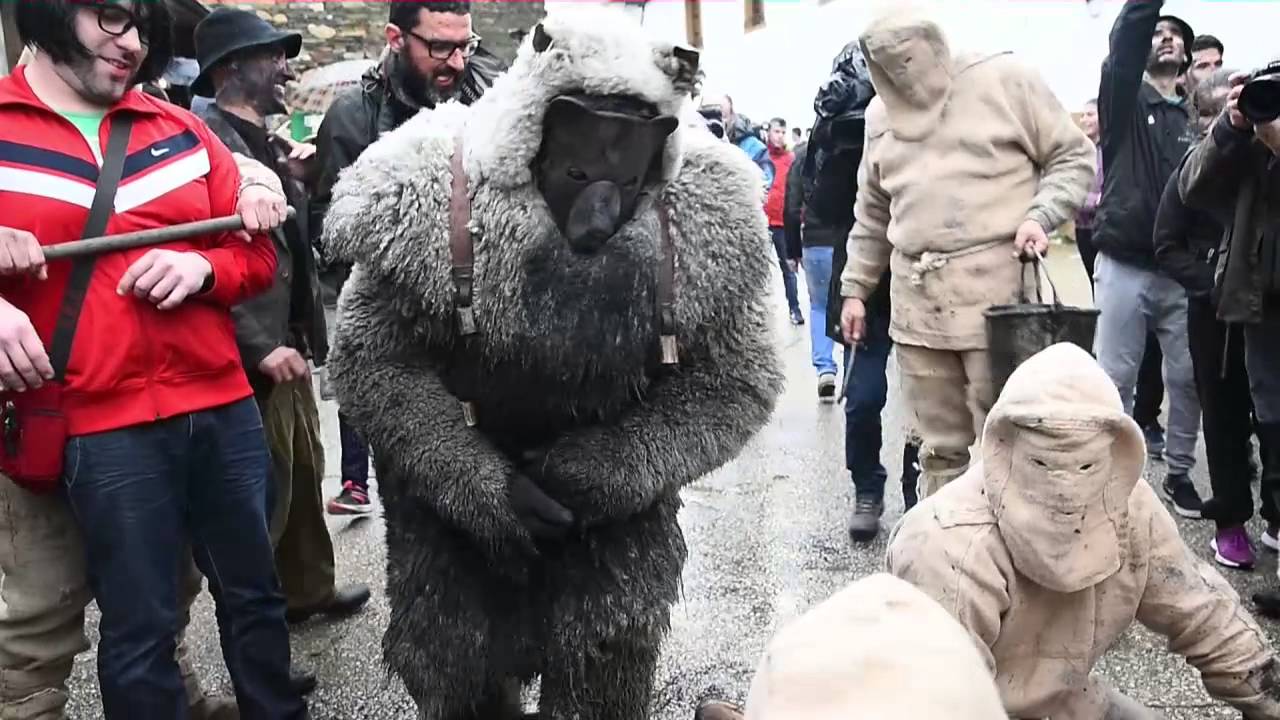 Oso de Salcedo 2016 video