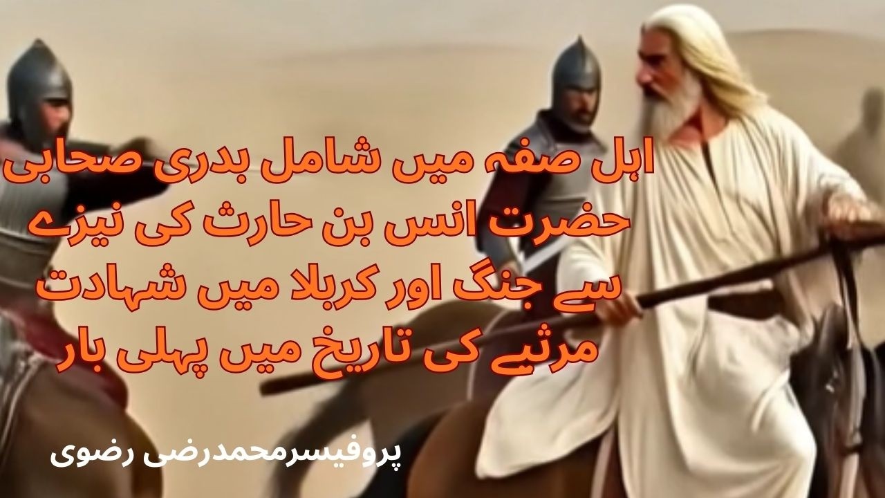 Karbala ke Sab se Burhe Shaheed Anas ibn e Haris | کربلا کے بوڑھے شہید انس بن حارث | pro razi rizvi