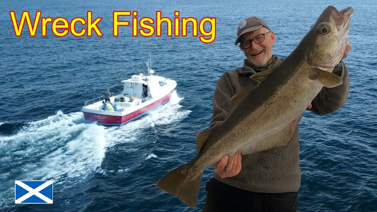 BIG Pollock : Wreck Fishing : Sea Fishing : North East Scotland