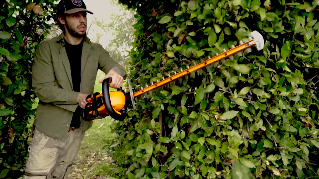 WORX WG284E TR&Aring;DL&Oslash;S HEKKTRIMMER P&Aring; 40 V      NO