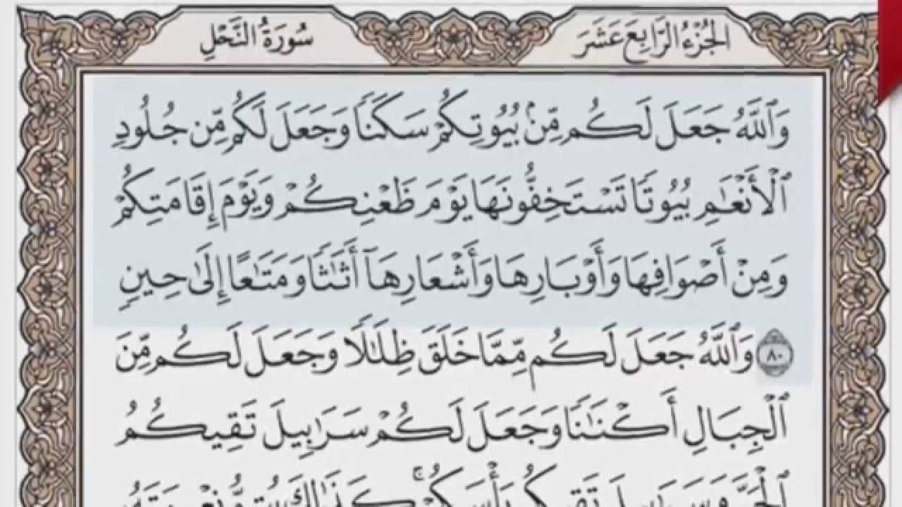 القرآن الكريم بالصفحات صوت وصورة ص/ 276 الشيخ محمود خليل الحصري بمد المنفصل