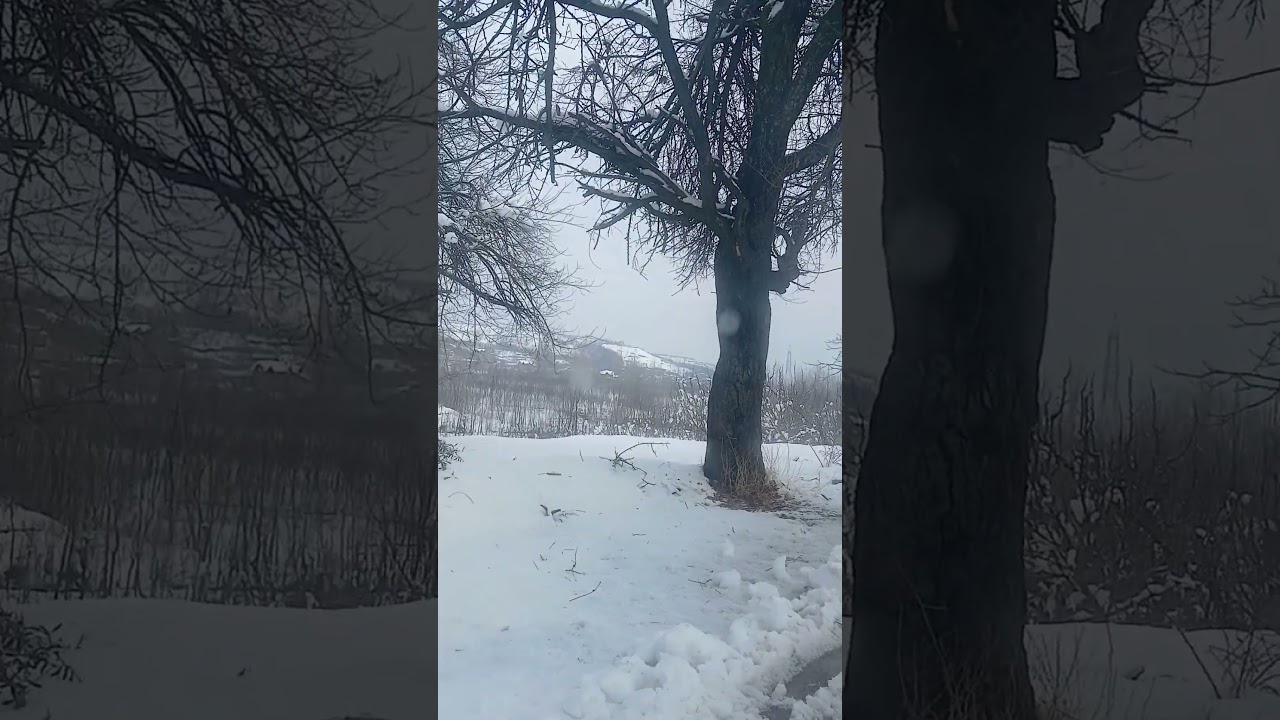 Снегопад в Кашмире в 2026 году