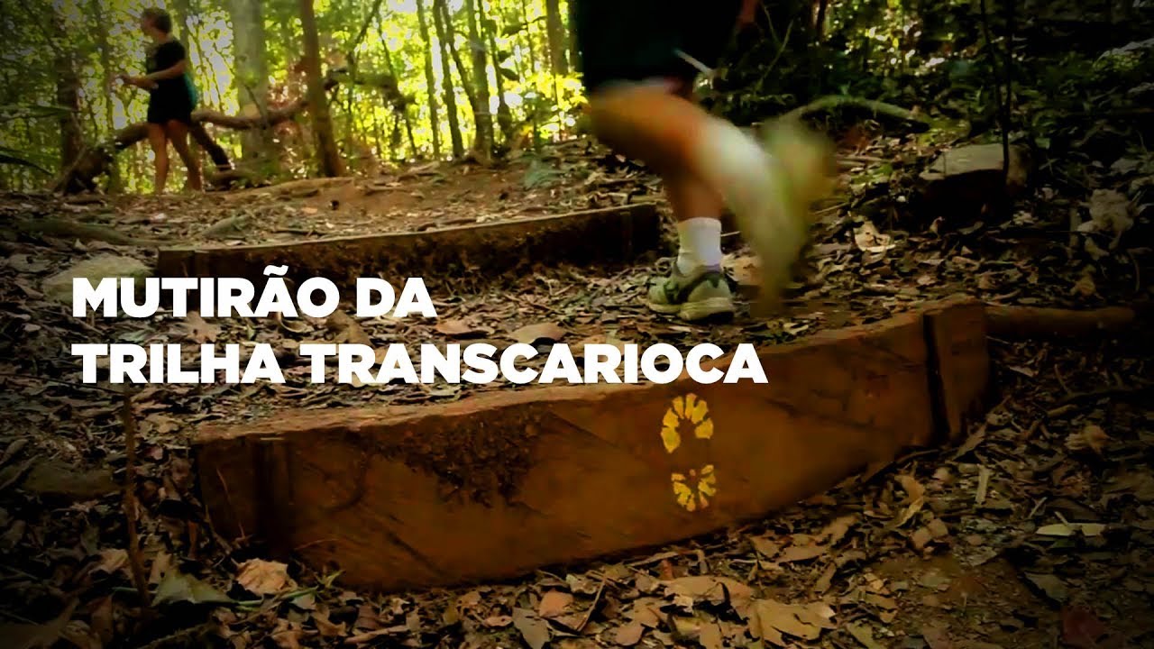 Mutir&atilde;o da Trilha Transcarioca