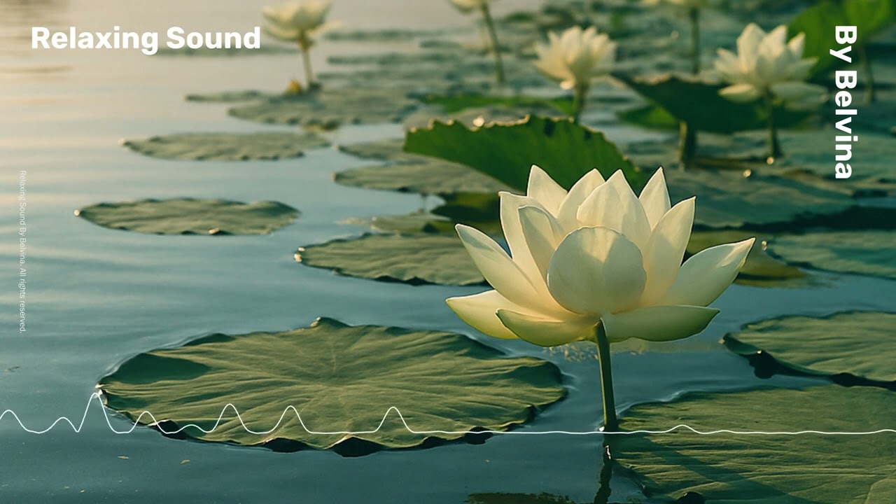 Lotus Garden Calm 🌸🌱 | Soft, Peaceful Music for Stress Relief