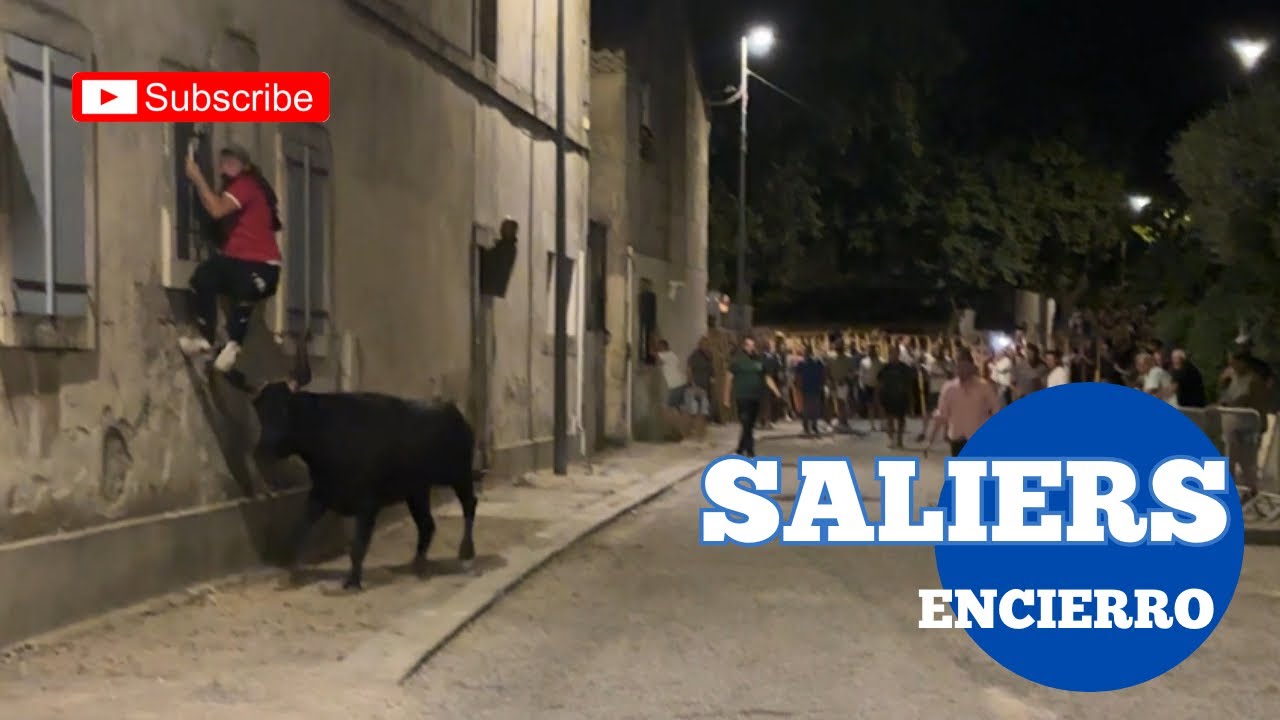 Attention ⚠️ Danger à SALIERS 🇫🇷 Enfin le retour des Encierro ➡️ 02/08/2025 Manade DU JUGE ⭐️