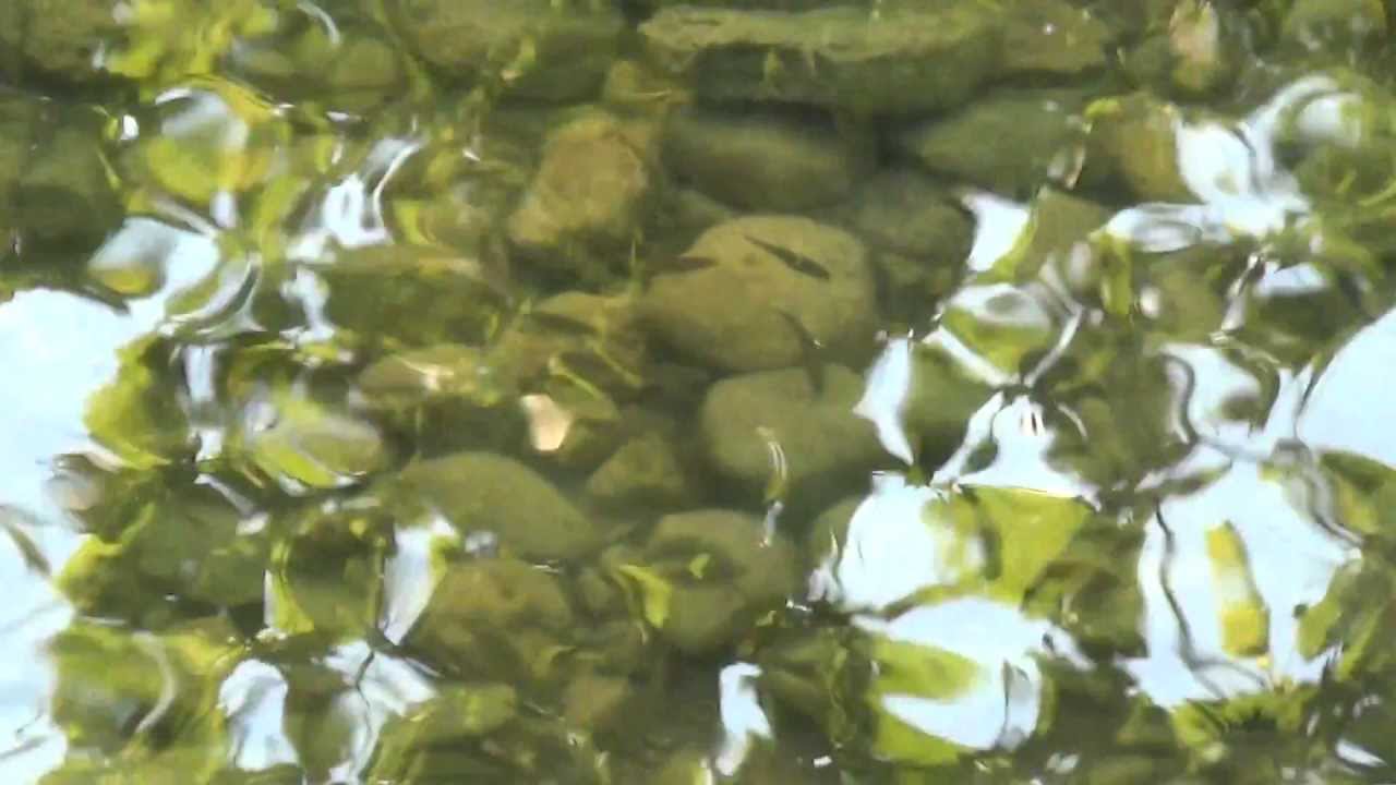 Sony HDR-PJ430V - Creek Water