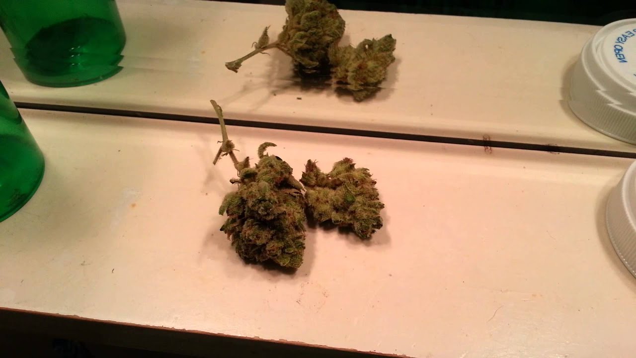Got the glue