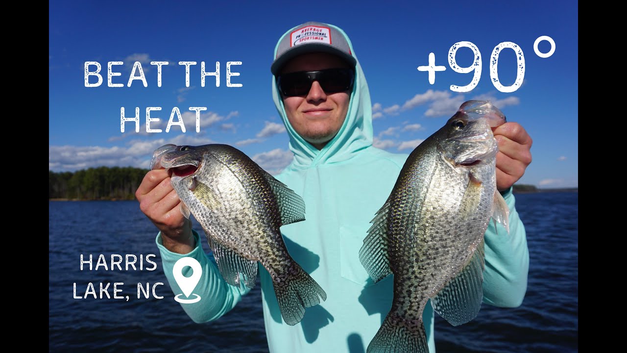 How to catch CRAPPIE in the HEAT of SUMMER! Harris Lake, NC Crappie Fishing APS