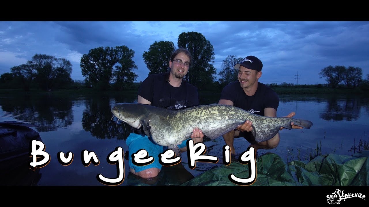Waller im Fr&uuml;hjahr #2 _ BungeeRig _ Groundbait _ Livebiss & Wallerdrill _ Catflorenz