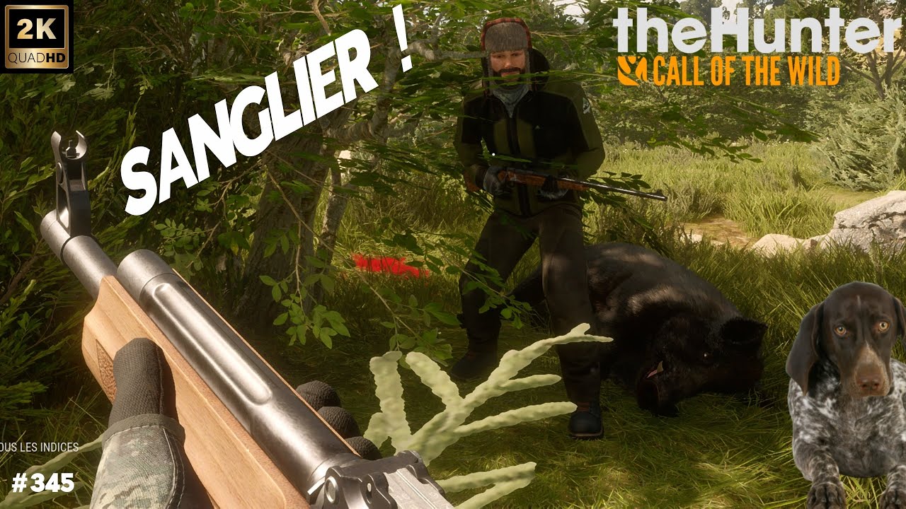 THE HUNTER CALL OF THE WILD #345 ON CHASSE LE SANGLIER SUR CUATRO COLINAS 2025