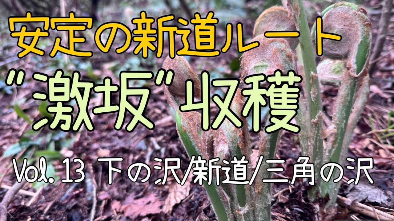 ゼンマイ折りVol.13 安定の新道〜激坂収穫〜
