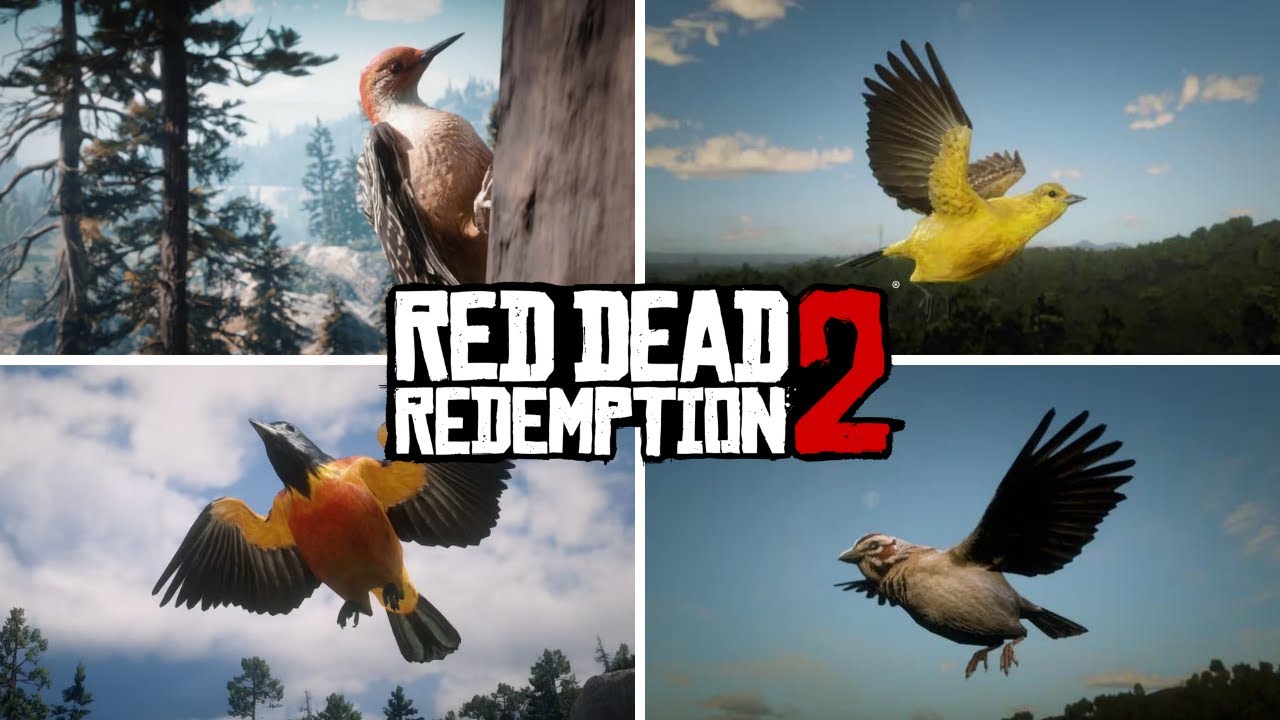 Best Area For Bird Hunting | Red Dead Redemption 2
