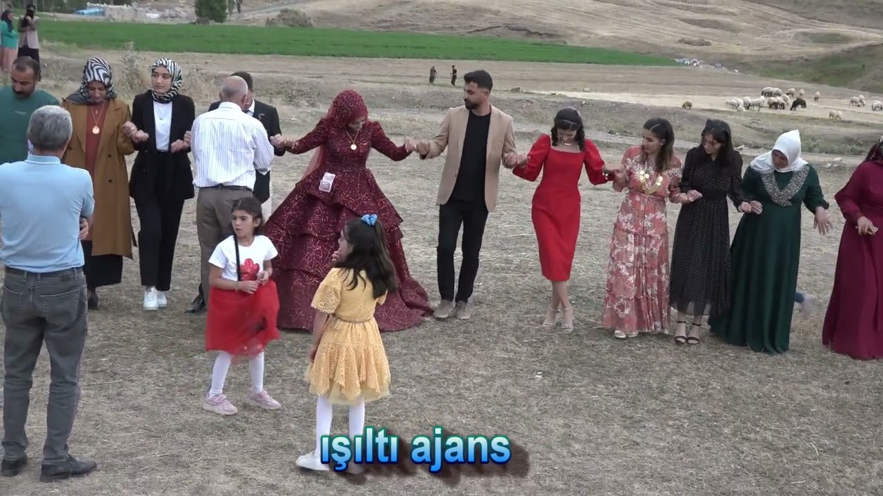 ışıltı ajans Diyadin Roder Ordi Birgül müzik #aşiretdüğünleri #düğün #düğünfotoğrafı #halay #kürtçe