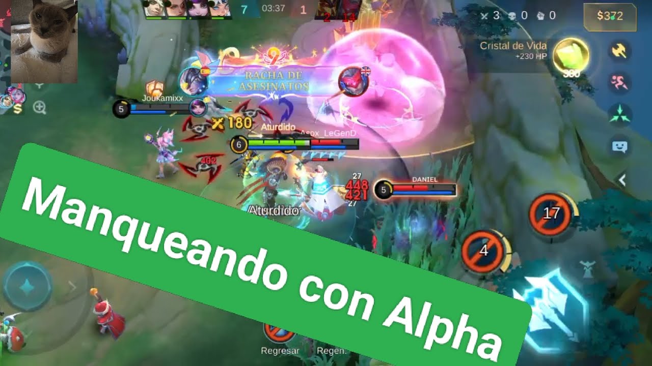 Mobile Legends: Rank con Alpha