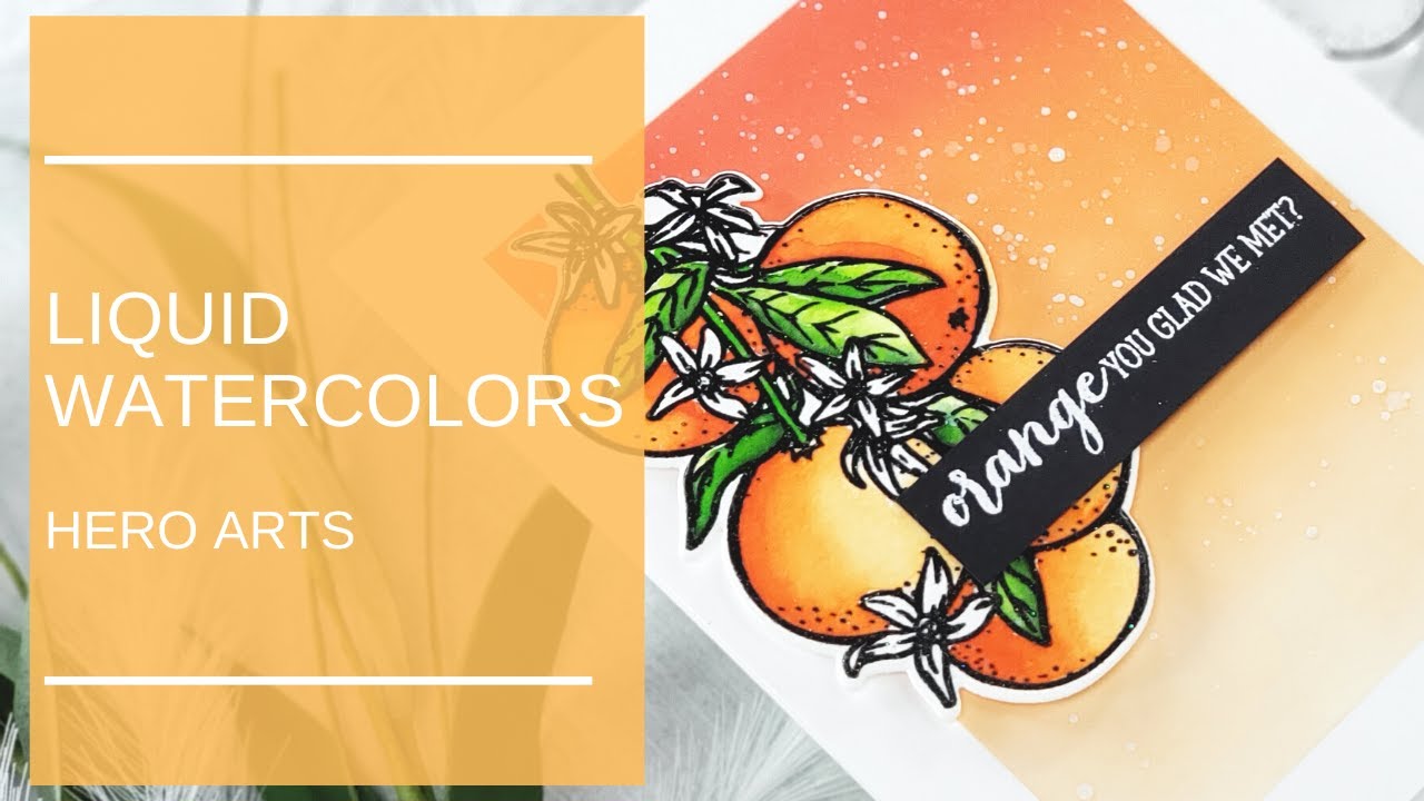 How To Use Liquid Watercolors | Hero Arts Orange Blossoms