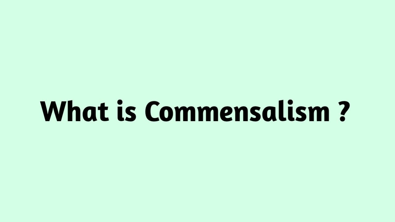 What is Commensalism ?