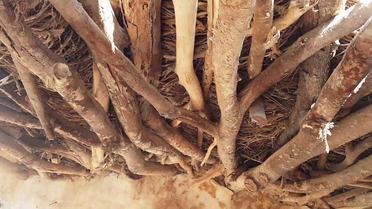 منطقة الحبلين البحريه التابعه لمحافظة مسندم ..