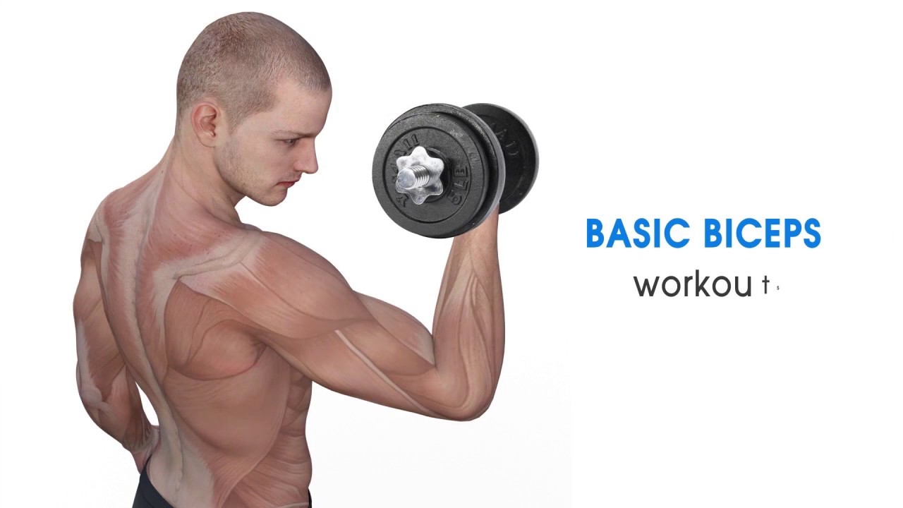 Yes4all adjustable dumbbell - Which Are The Best Adjustable Dumbbells?
