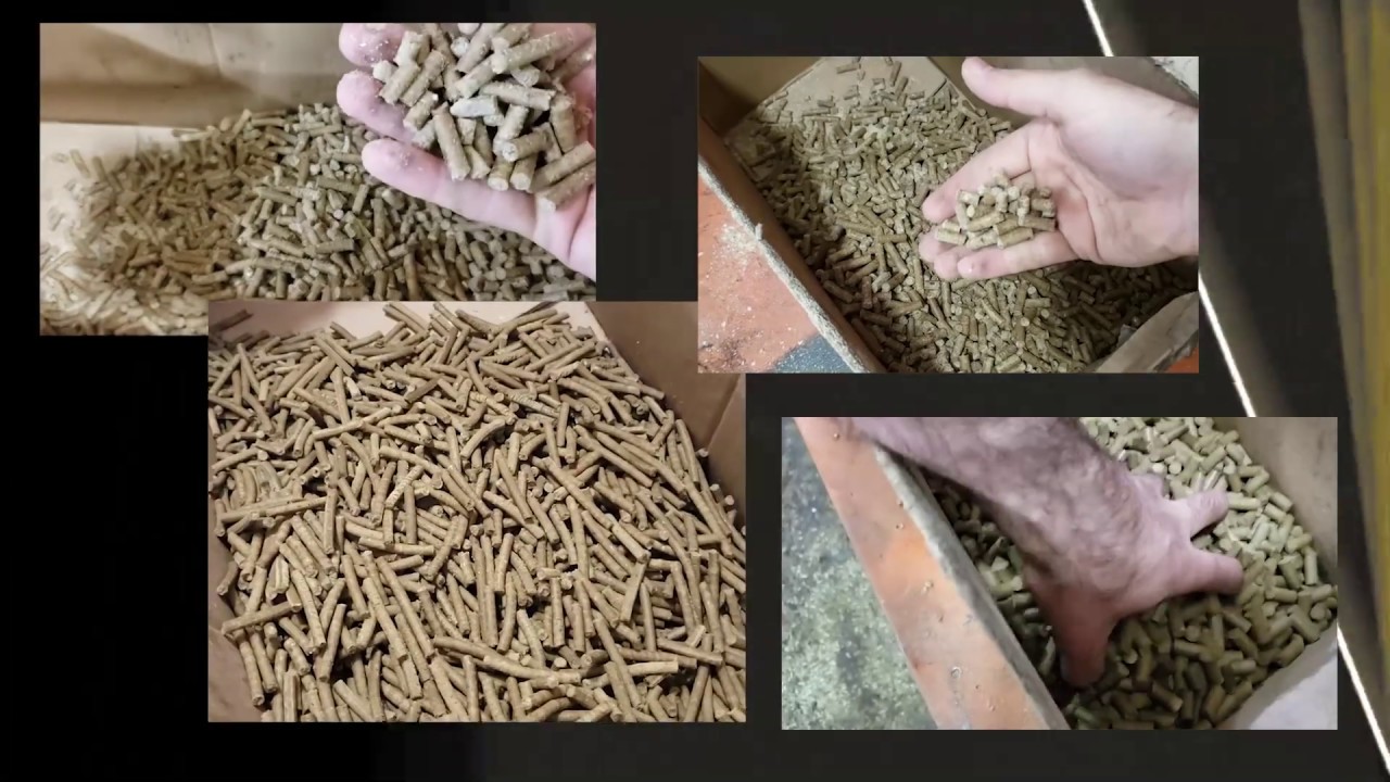 RACAO EM PELLETS PARA GADO CONFINADO VACA DE LEITE 6MM 4MM 8MM