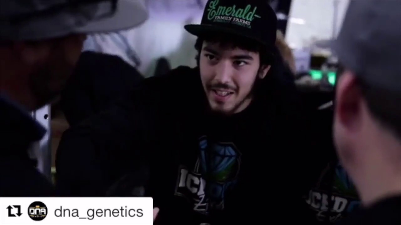 Emerald Cup 2015 w/ DNA Genetics & Iced Out Extracts