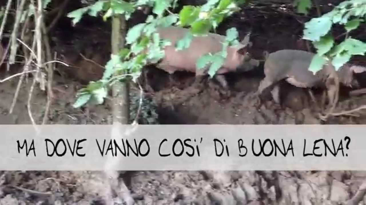 Parva Domus, visita in azienda dell'associazione Allevamento Etico
