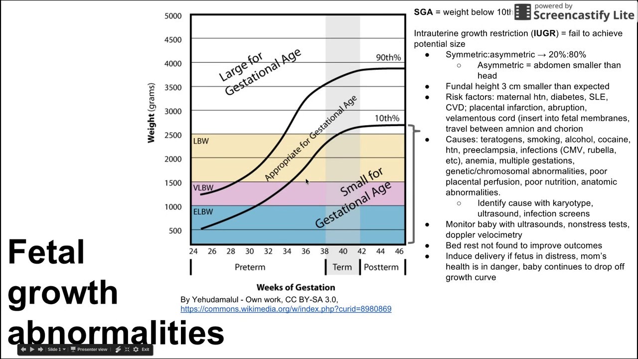 Fetal growth abnormalities